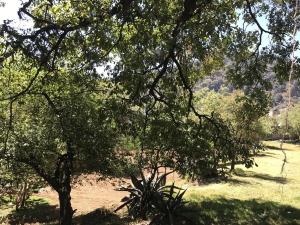 Terreno en venta en El Ermitaño, La Magdalena Contreras — foto 3 de 14