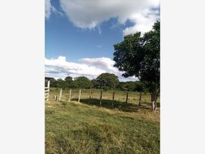 Terreno en venta en Mactun, Balancán — foto 2 de 5