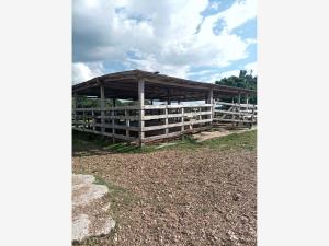 Terreno en venta en Mactun, Balancán, Tabasco