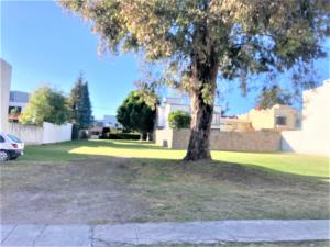 Terreno en venta en Residencial el Campanario, San Pedro Cholula — foto 2 de 8