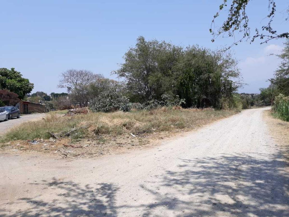 Terreno en venta en Los Pinos Jiutepec, Jiutepec — foto 1 de 6