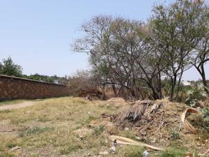 Terreno en venta en Los Pinos Jiutepec, Jiutepec — foto 2 de 6