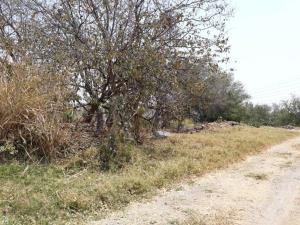 Terreno en venta en Los Pinos Jiutepec, Jiutepec — foto 3 de 6