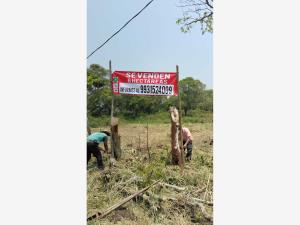 Terreno en venta en La Huasteca 2da. Sección (Alvarado la Raya), Centro — foto 2 de 5