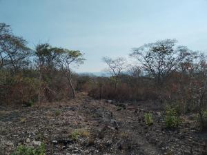 Terreno en venta en Campestre Arenal, Tuxtla Gutiérrez, Chiapas