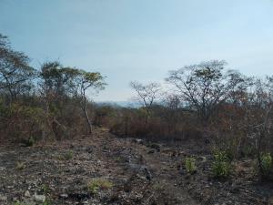 Terreno en venta en Campestre Arenal, Tuxtla Gutiérrez — foto 3 de 6