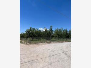 Terreno en venta en Moradas del Porvenir, Juárez — foto 3 de 12