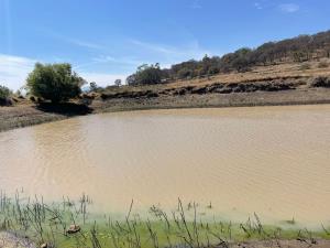 Terreno en venta en San José Ithó, Amealco de Bonfil — foto 3 de 25