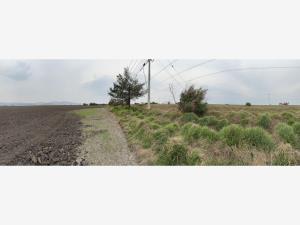 Terreno en venta en Las Torres, Mineral de la Reforma — foto 2 de 14