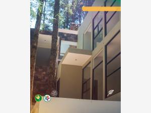Terreno en venta en Mineral del Monte Centro, Mineral del Monte — foto 3 de 8