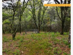 Terreno en venta en Mineral del Monte Centro, Mineral del Monte — foto 2 de 6