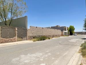 Terreno en venta en Rincón San Ángel, Torreón — foto 3 de 7