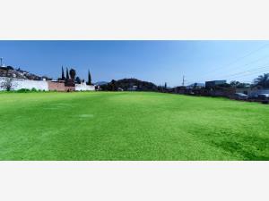 Terreno en venta en Atlixco Centro, Atlixco — foto 2 de 2