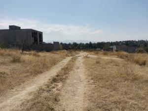 Terreno en venta en Diana Laura Viuda de Colosio, Tarímbaro — foto 3 de 5