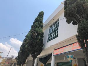 Casa en venta en Tlayacapan Centro, Tlayacapan — foto 2 de 19