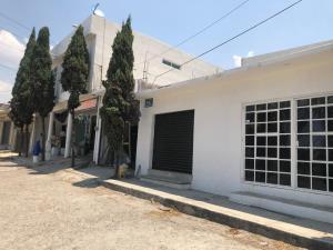 Casa en venta en Tlayacapan Centro, Tlayacapan — foto 3 de 19