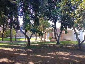 Casa en venta en Ixtlahuacan, Yautepec — foto 3 de 12
