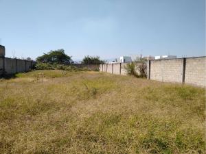 Terreno en venta en Los Arrozales, Jojutla — foto 2 de 21