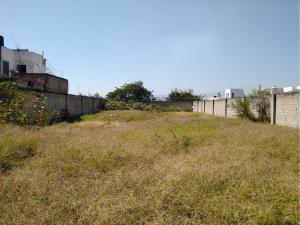Terreno en venta en Los Arrozales, Jojutla — foto 3 de 21