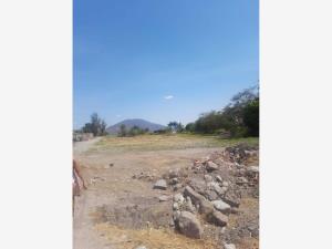 Terreno en venta en Ampliación Nicolás Bravo, Jojutla — foto 2 de 15