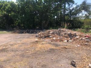 Terreno en venta en Ampliación Nicolás Bravo, Jojutla — foto 3 de 15
