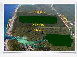 Terreno en venta en Aldea Tulum, Tulum — foto 2 de 2