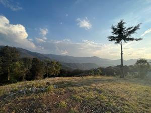 Terreno en venta en Mineral del Chico Centro, Mineral del Chico, Hidalgo