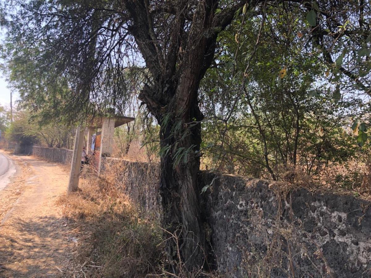 Terreno en venta en Amador Salazar, Tlaltizapán de Zapata — foto 1 de 7