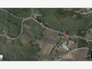 Terreno en venta en Amador Salazar, Tlaltizapán de Zapata — foto 3 de 7