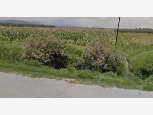 Terreno en venta en La Constitucion Totoltepec, Toluca — foto 2 de 3