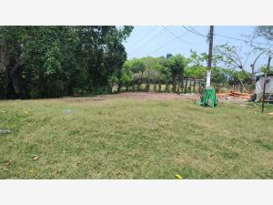Terreno en venta en Paso del Toro, Medellín de Bravo — foto 2 de 6