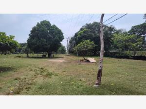 Terreno en venta en Paso del Toro, Medellín de Bravo — foto 3 de 6
