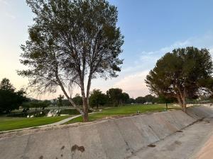 Terreno en venta en Nogalar del Campestre, Saltillo — foto 2 de 11