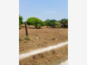Terreno en venta en Las Americas, Boca del Río, Veracruz de Ignacio de la Llave Terreno en venta en Las Americas, Boca del Río, Veracruz de Ignacio de la Llave