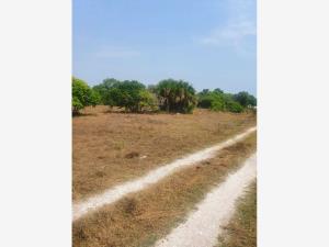 Terreno en venta en Las Americas, Boca del Río — foto 2 de 3