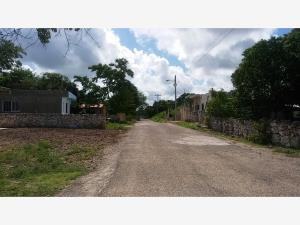 Terreno en venta en Izamal Centro, Izamal — foto 2 de 31