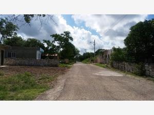 Terreno en venta en Izamal Centro, Izamal — foto 3 de 31