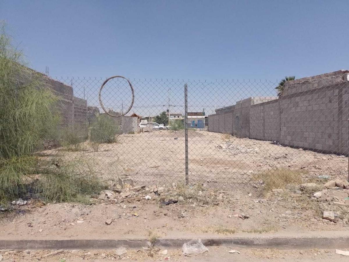 Terreno en Renta en La Union, Torreón, Coahuila de Zaragoza