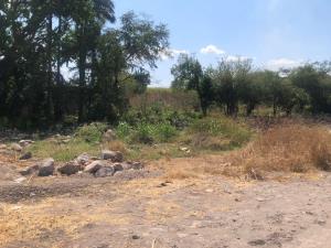 Terreno en venta en Nicolás Bravo, Jojutla — foto 3 de 7