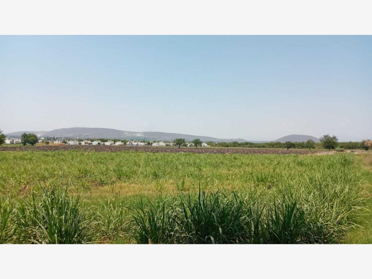 Terreno en venta en Tlaquiltenango, Tlaquiltenango — foto 1 de 11