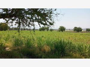Terreno en venta en Tlaquiltenango, Tlaquiltenango — foto 2 de 11