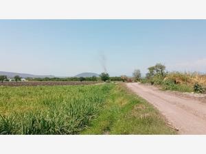 Terreno en venta en Tlaquiltenango, Tlaquiltenango — foto 3 de 11