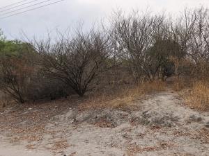 Terreno en venta en Tlatenchi, Jojutla — foto 2 de 9
