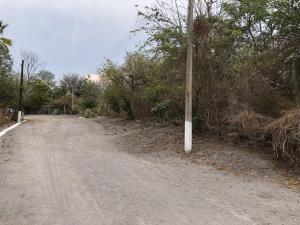 Terreno en venta en Tlatenchi, Jojutla — foto 3 de 9