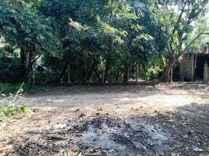 Terreno en venta en La Aguada, Alvarado — foto 2 de 5