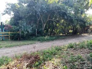 Terreno en venta en La Aguada, Alvarado — foto 3 de 5