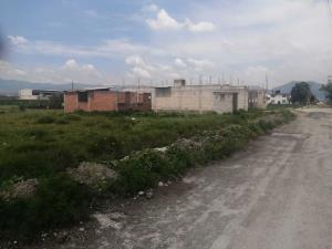 Terreno en venta en Xonacatlán, Xonacatlán — foto 2 de 7
