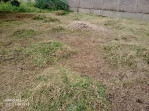 Terreno en venta en Plutarco Elías Calles (Cura Hueso), Centro — foto 3 de 3