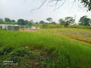 Terreno en venta en Plutarco Elías Calles (Cura Hueso), Centro — foto 2 de 3