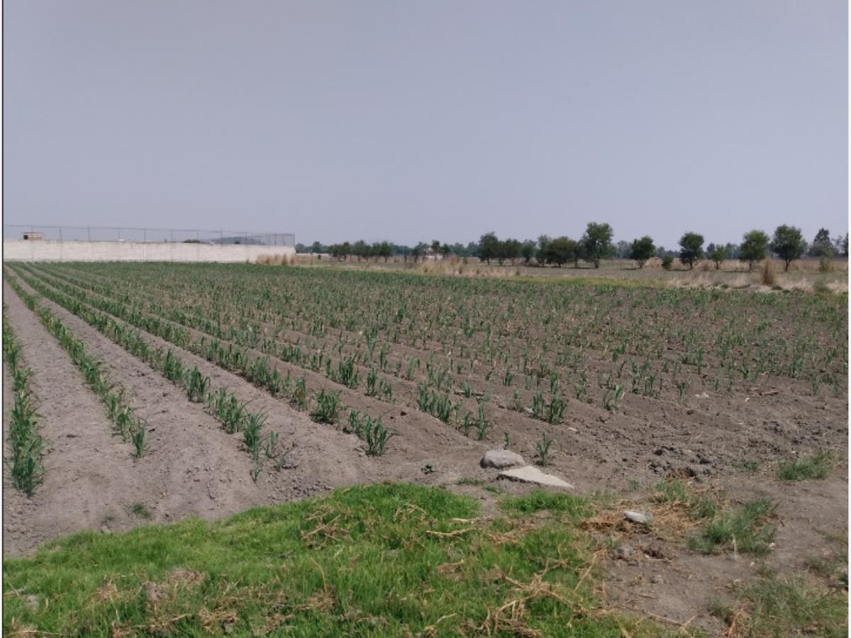 Terreno en venta en San Miguel Totocuitlapilco, Metepec — foto 1 de 2